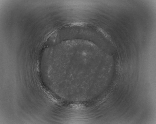 X0000080180689200701051657