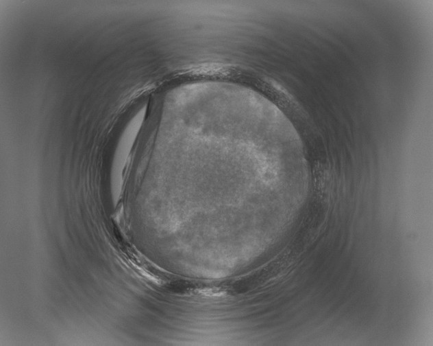 X0000080180692200701051657