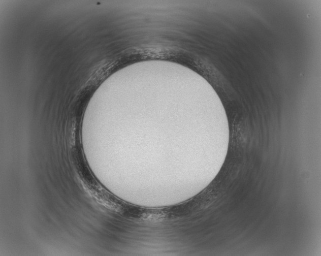 X0000080180694200701051657