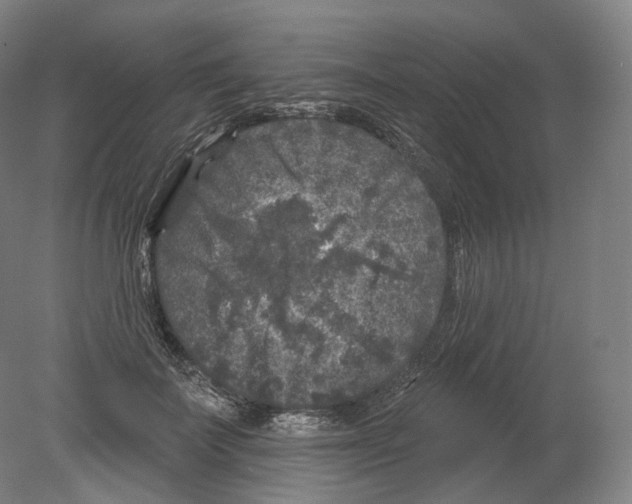 X0000080180699200701051657