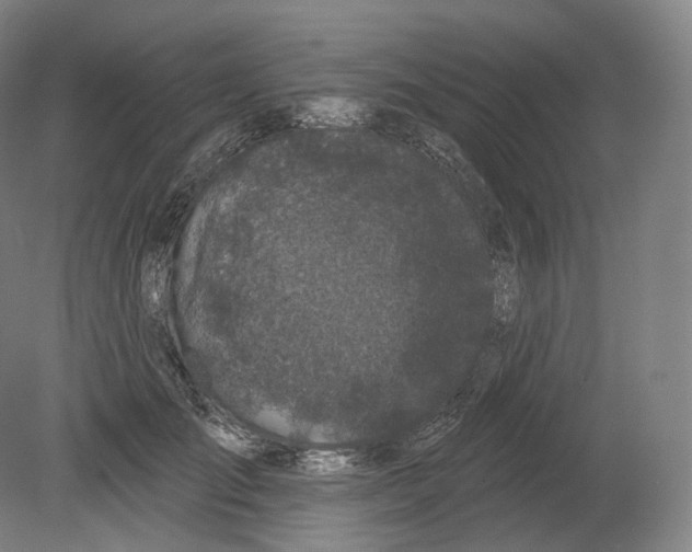 X0000080180701200701051657