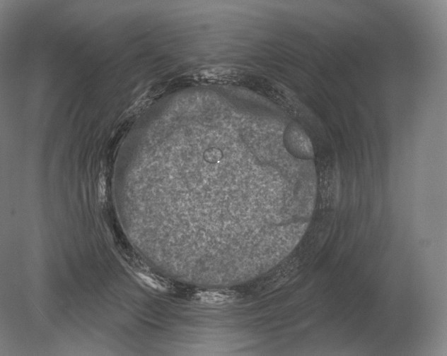 X0000080180703200701051657