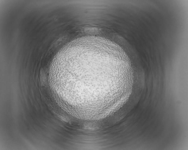 X0000080180705200701051657