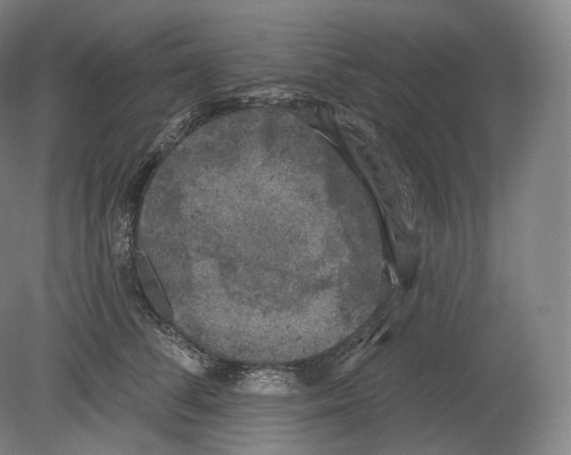 X0000080180708200701051657