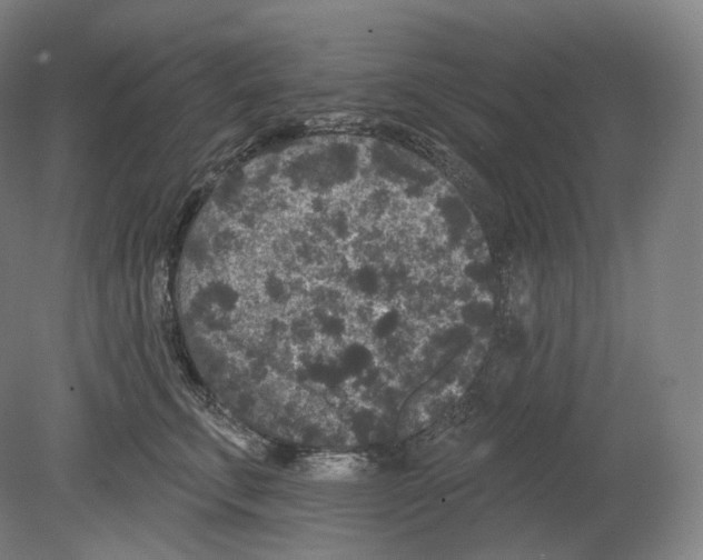 X0000080180711200701051657