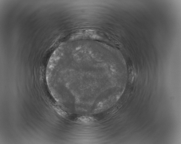 X0000080180712200701051657