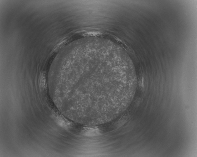 X0000080180715200701051657