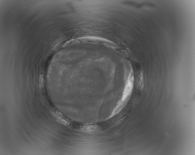 X0000080180716200701051657