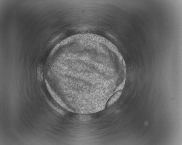 X0000080180719200701051657