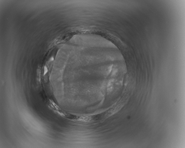 X0000080180720200701051657