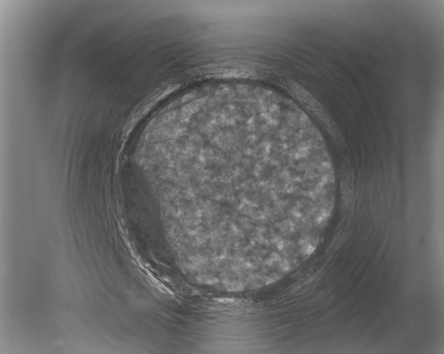 X0000080180721200701051656