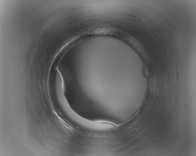 X0000080180722200701051656