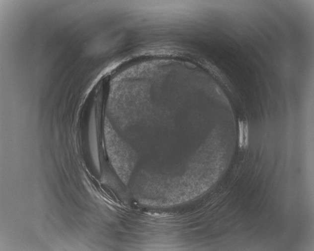 X0000080180723200701051656