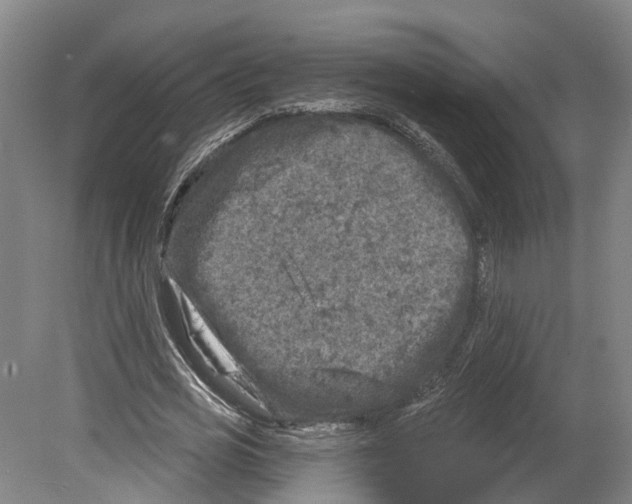 X0000080180725200701051656