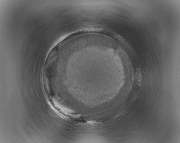 X0000080180726200701051656