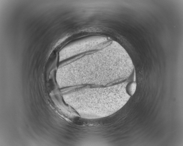 X0000080180727200701051656