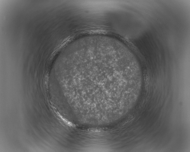 X0000080180729200701051656