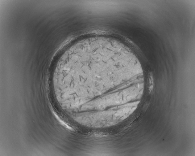 X0000080180730200701051656