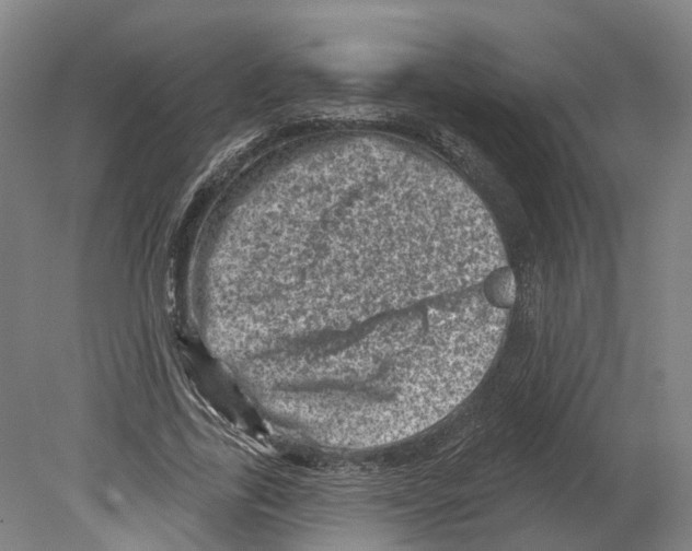 X0000080180731200701051656