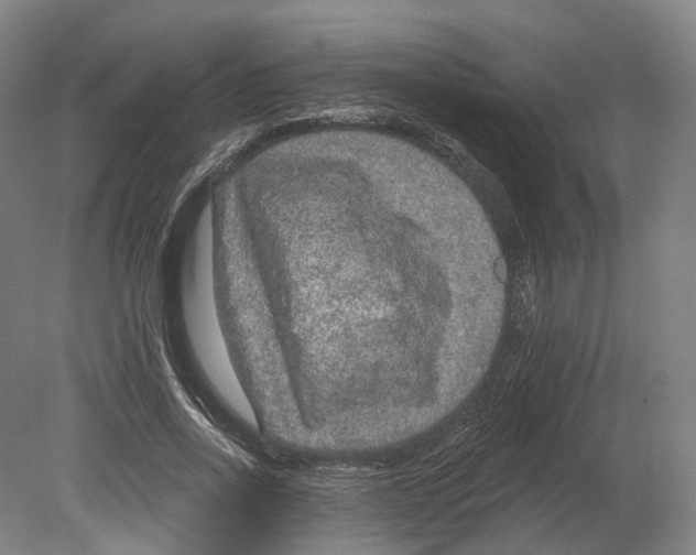 X0000080180734200701051656