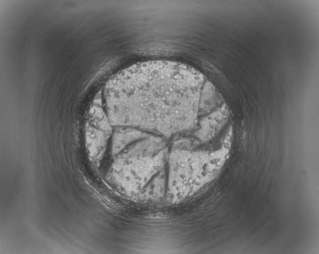 X0000080180735200701051656