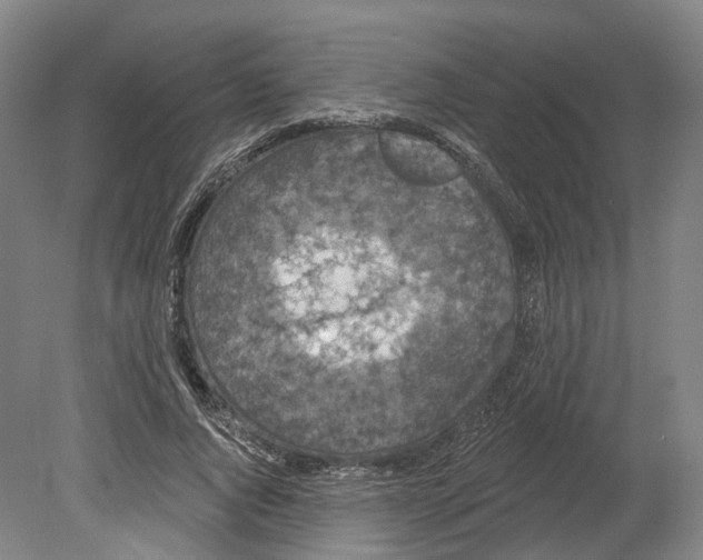 X0000080180736200701051656