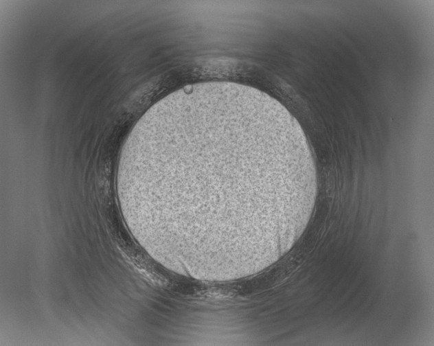 X0000080180737200701051656