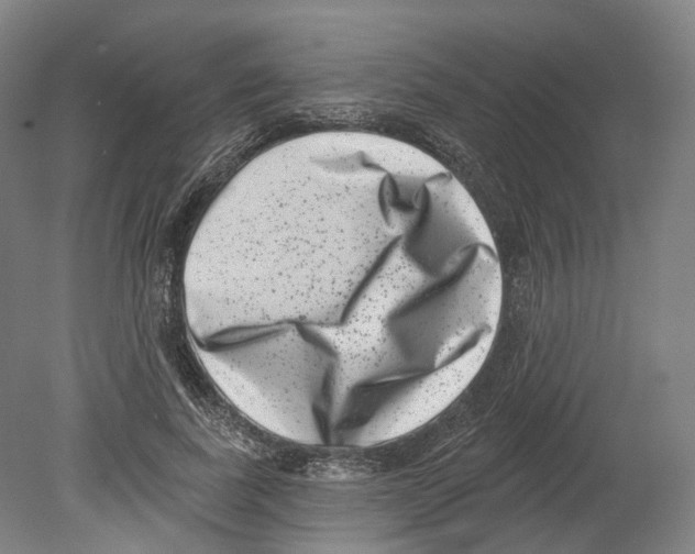 X0000080180739200701051656