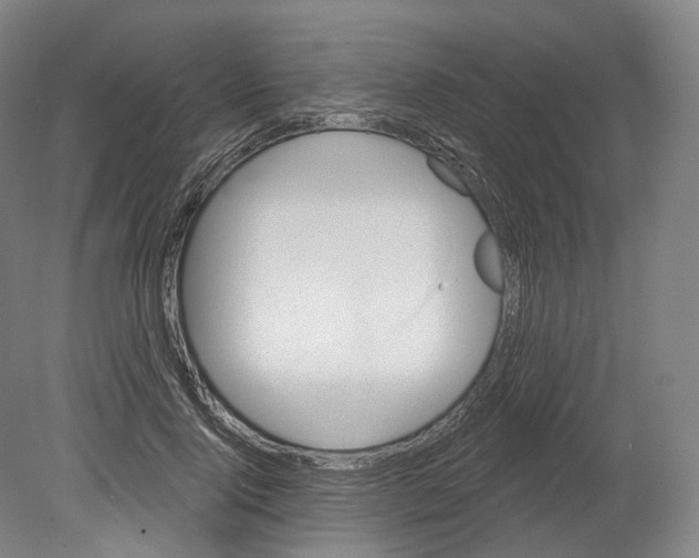 X0000080180740200701051656