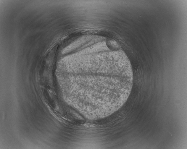 X0000080180742200701051656