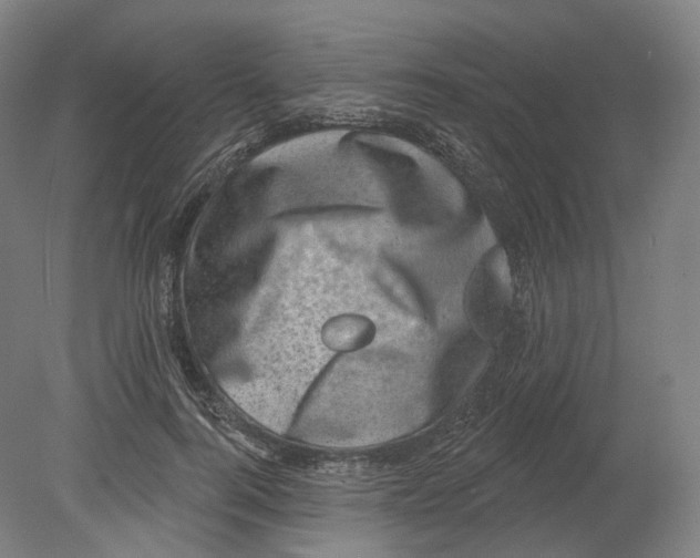 X0000080180744200701051656