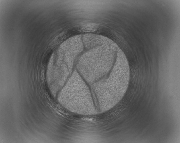 X0000080180745200701051656