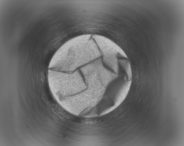 X0000080180746200701051656