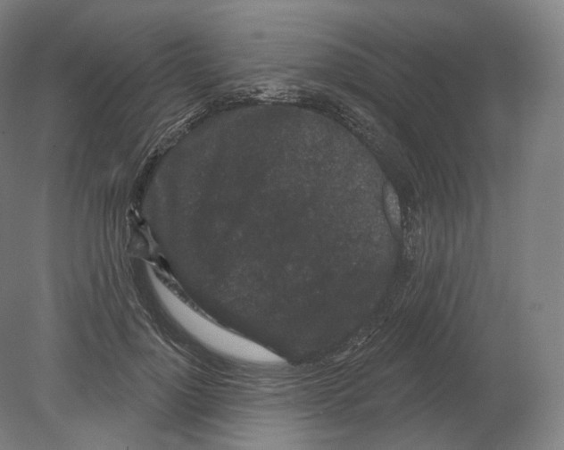 X0000080180748200701051657