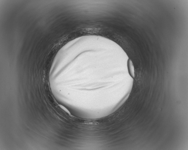 X0000080180752200701051657