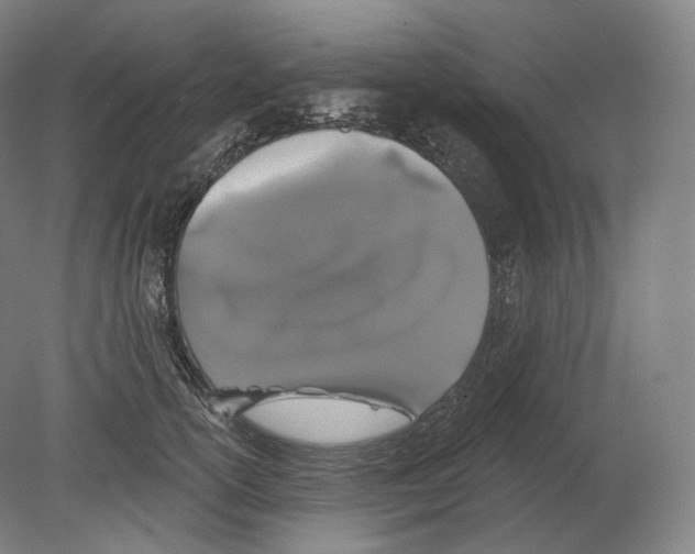 X0000080180754200701051657