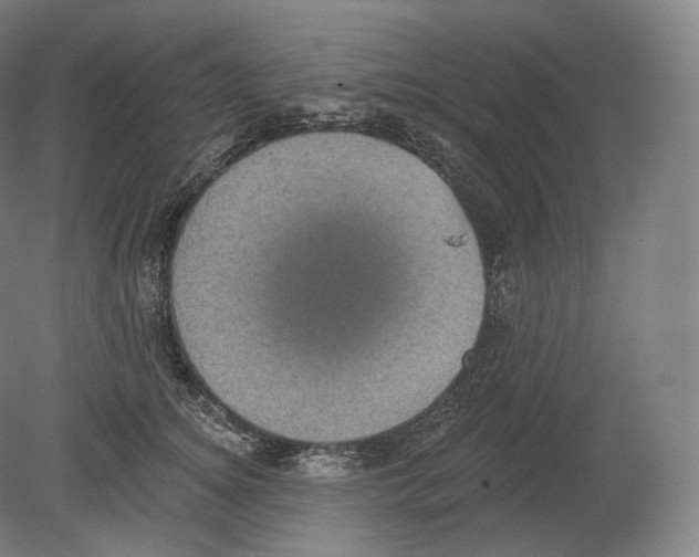 X0000080180756200701051657