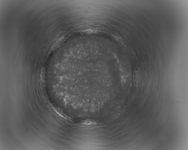 X0000080180760200701051657