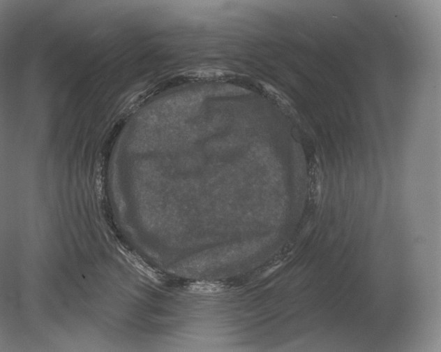 X0000080180762200701051657