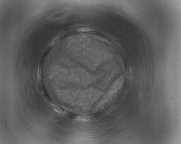 X0000080180763200701051657