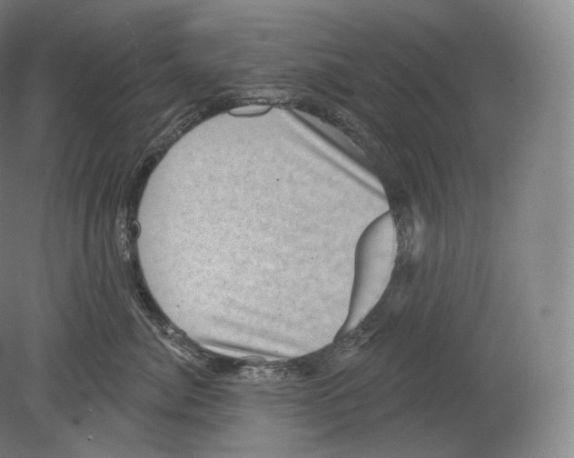 X0000080180764200701051657