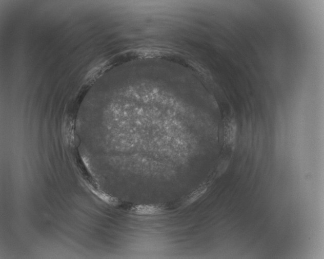 X0000080180766200701051657