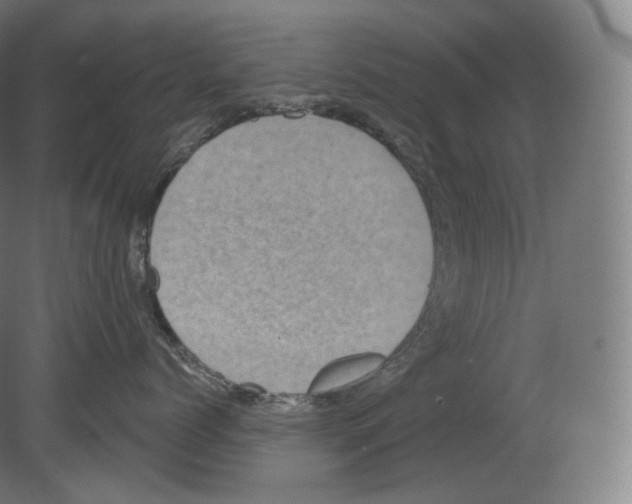 X0000080180768200701051657