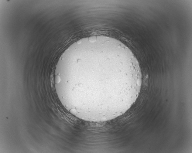 X0000080180772200701051656