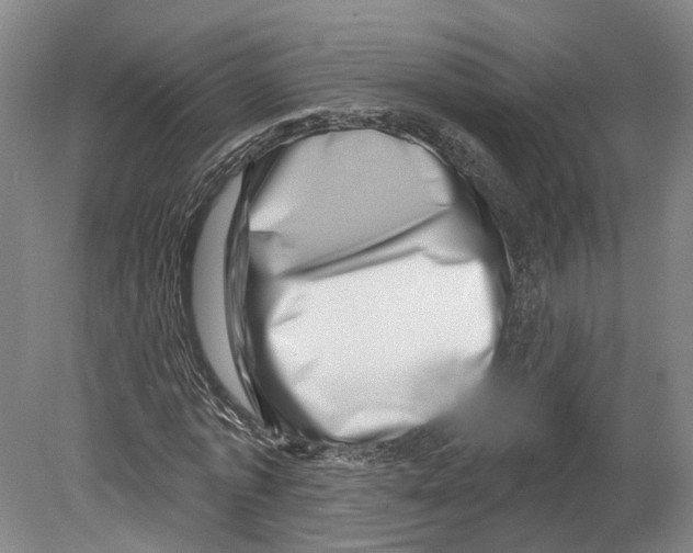 X0000080180773200701051656