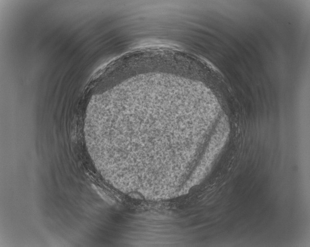 X0000080180775200701051656