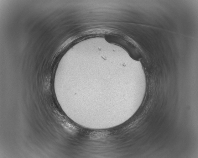 X0000080180778200701051656