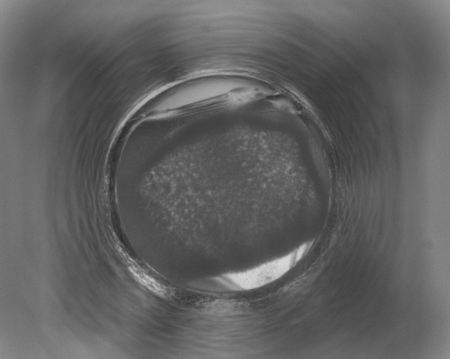 X0000080180779200701051656