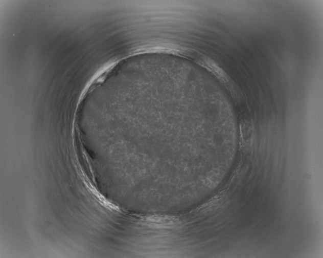 X0000080180780200701051656