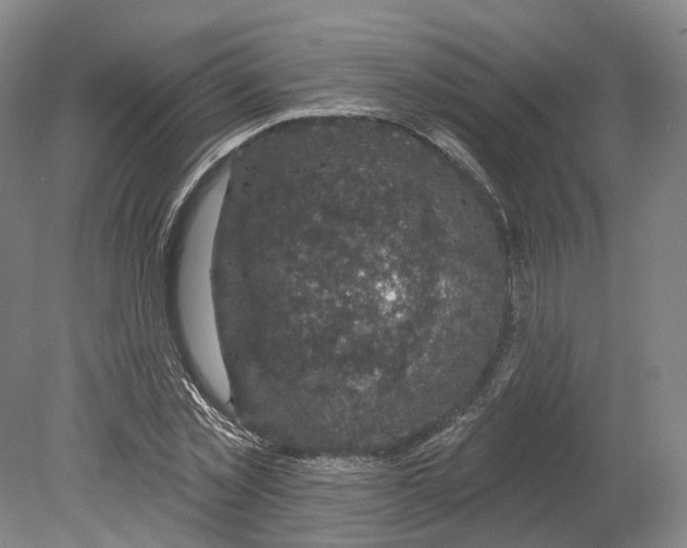 X0000080180781200701051656